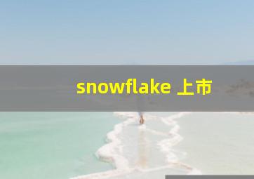 snowflake 上市